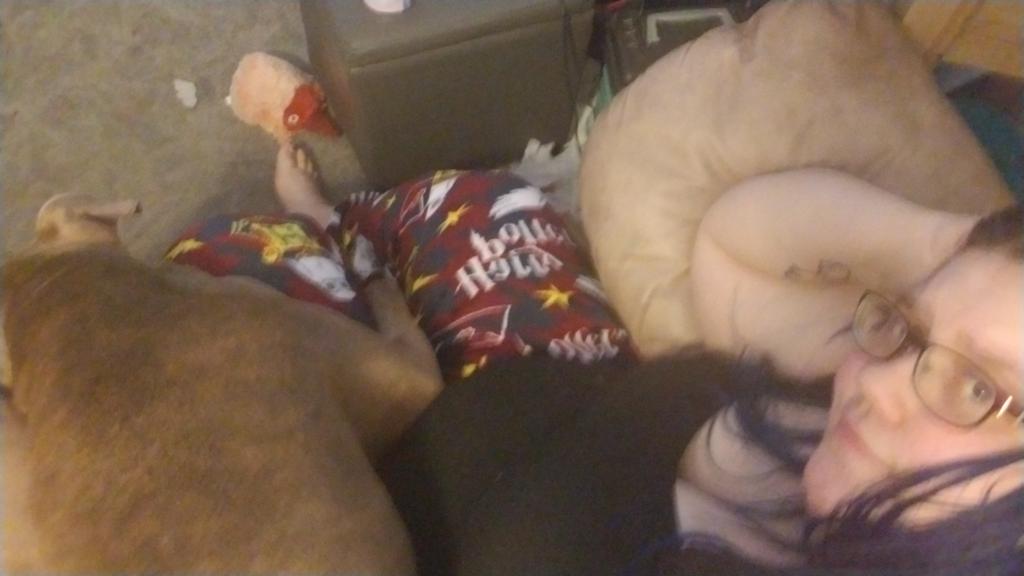 FuckDisShit29's tweet photo. My life has resorted to a 75lbs doggo sleeping on my lap
#stuckathome #ifmydogcantcome #iamnotgoing https://t.co/imtwPcJOVo