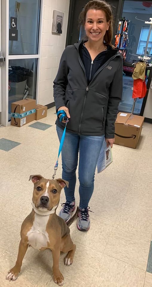 Brownie found a home!!
#STARS #AdoptDontShop #rescue #fureverhome