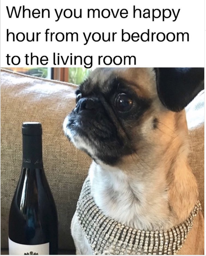 TheEllenShow's tweet photo. Wow! Y’all have been making great quarantine memes. #MeMeMonday https://t.co/wbLr8ncM2y