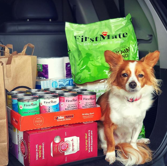 FirstMatePet's tweet photo. Remember to support local businesses! Call your pet specialty retailer and ask about curb side pickup ๐๐ถ
.
.
.
๐ธ: Kashdoggie | #MyFirstMate
#petfood #beprepared #pnwdogs #heartdog #wetnosewarmheart #mydogist #barkzweekly #muttlife #dogsofseattle #barkpost #puppylife #k5pets https://t.co/r36qvvZ0YO