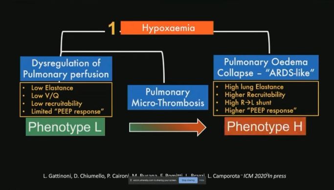 Recent Italian research in this Webinar by ESICM posits two phenotypes, a type 'L' and a type 'H'  Type L could be due to pulmonary microthrombosis and leads to a biphasic course with severe deterioration as clots hit multiple organs.   https://www.youtube.com/watch?feature=youtu.be&v=x6l-f3-IK-o3/
