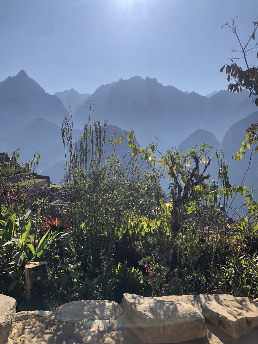 Angela Arlen tweet media