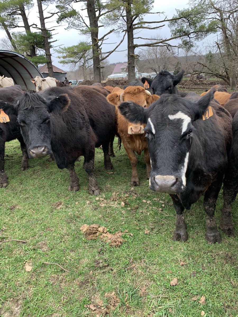 Nothing like a nosey audience watching you work