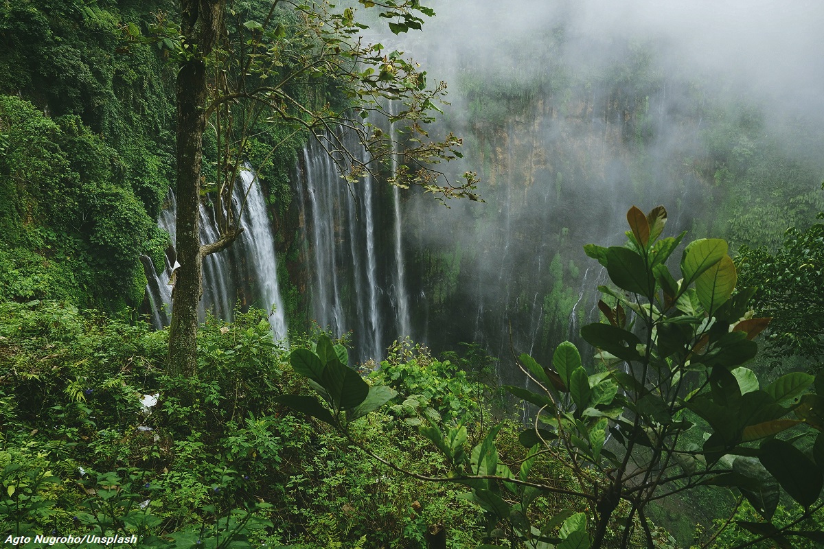 Cuanto más biodiverso es un ecosistema, más difícil es la rápida propagación de un patógeno.

A medida que el 🌎 se recupere de la pandemia del #COVID19, se necesitará un plan sólido para defender a la #naturaleza, para que ésta proteja a la humanidad. bit.ly/3bXypJk