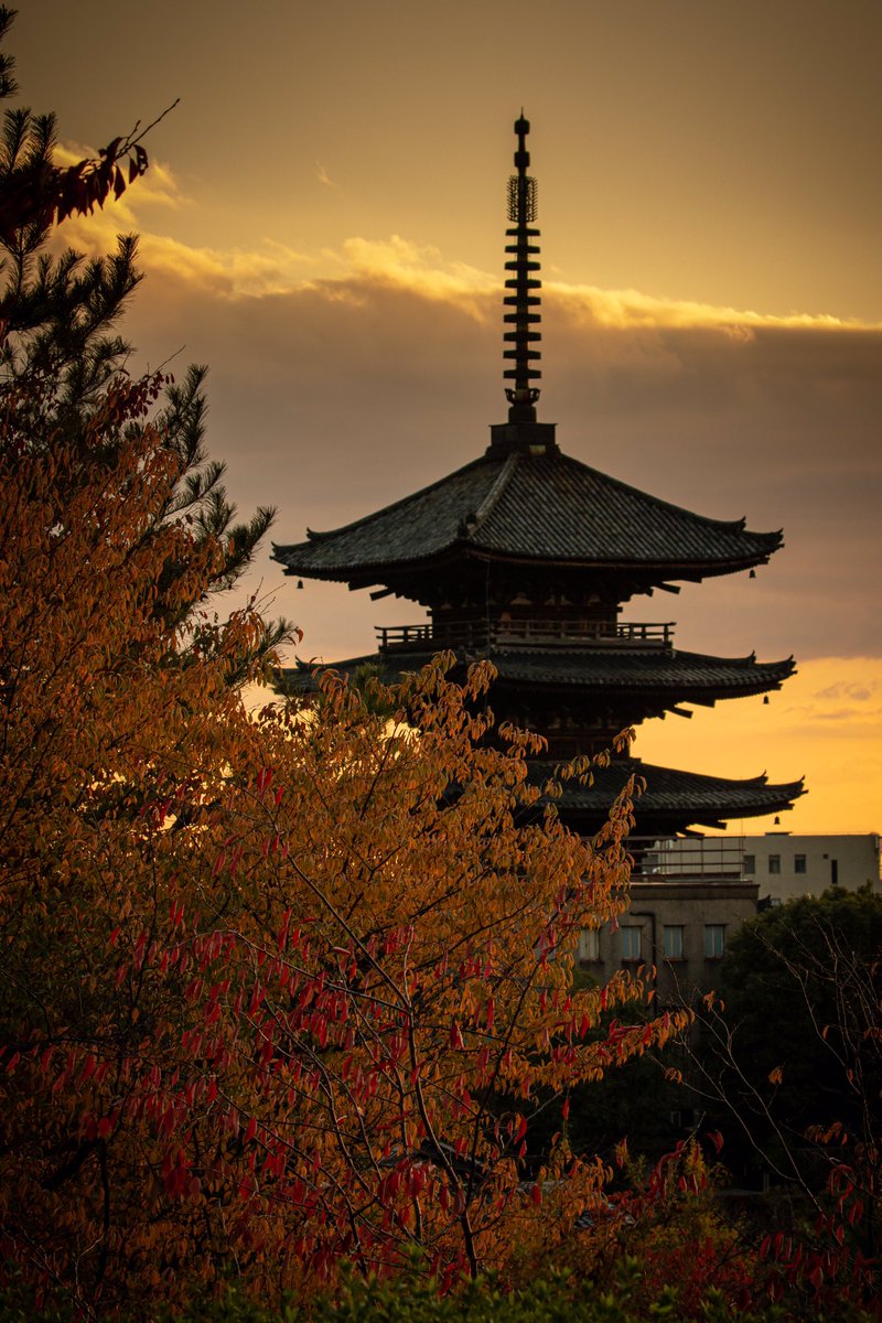 SSakurazawa's tweet photo. 京都

（過去写真）
#京都 #kyoto #japan https://t.co/uLbY34eF0C