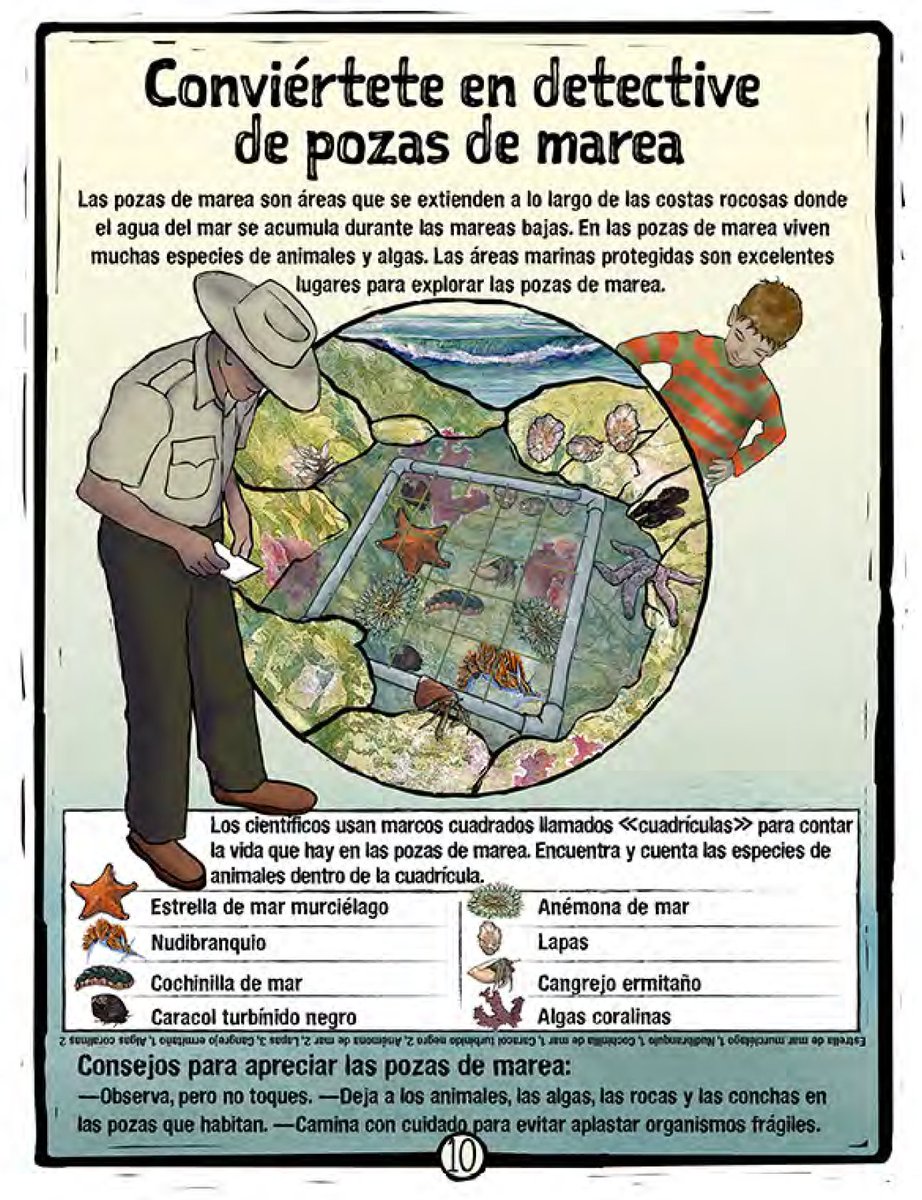Ahora en español! La guía para explorar las áreas marinas protegidas de California junto a niños y niñas ya está disponible! Cuidemos nuestro océano y cuídemonos entre todos. Aprovecha este tiempo de refugio en casa para jugar y aprender. Obtén tu guía: mpacollaborative.org/kids/
