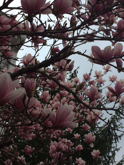 My happy place this evening... Mmmmm! https://t.co/I4qdACSVkv<a href="/tag/liveonstreamate"class="tags"><span>#liveonstreamate</span></a>