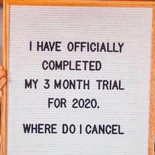 Nancy Blanchard🇨🇦🇺🇸 tweet media