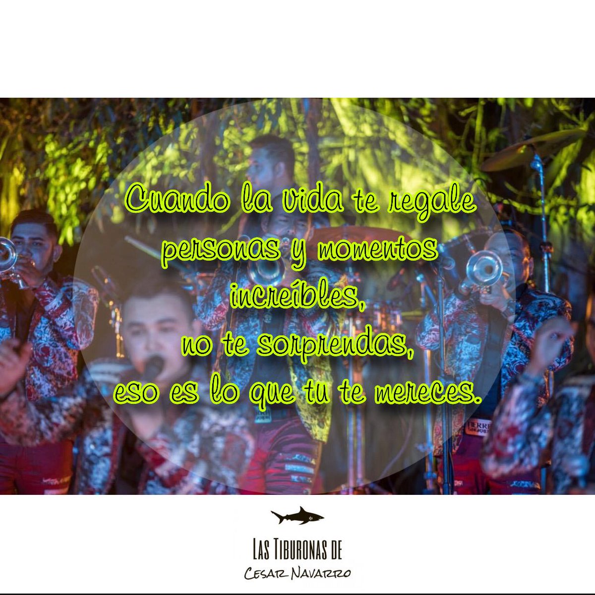 GarmaMily's tweet photo. ; Cuando la vida te regale personas y momentos increíbles, 
no te sorprendas, 
eso es lo que tu te mereces. 🤍 

#DeLoBuenoLoMejor @cesarnavarroa
@tierrasagrada1 @teamtiburonas 🦈💕 https://t.co/SEBDQarKlF