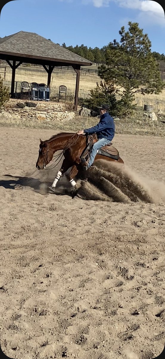 DaynonM's tweet photo. Bentley and I are enjoying this beautiful weather out on the track! https://t.co/jTSf2ivr1E