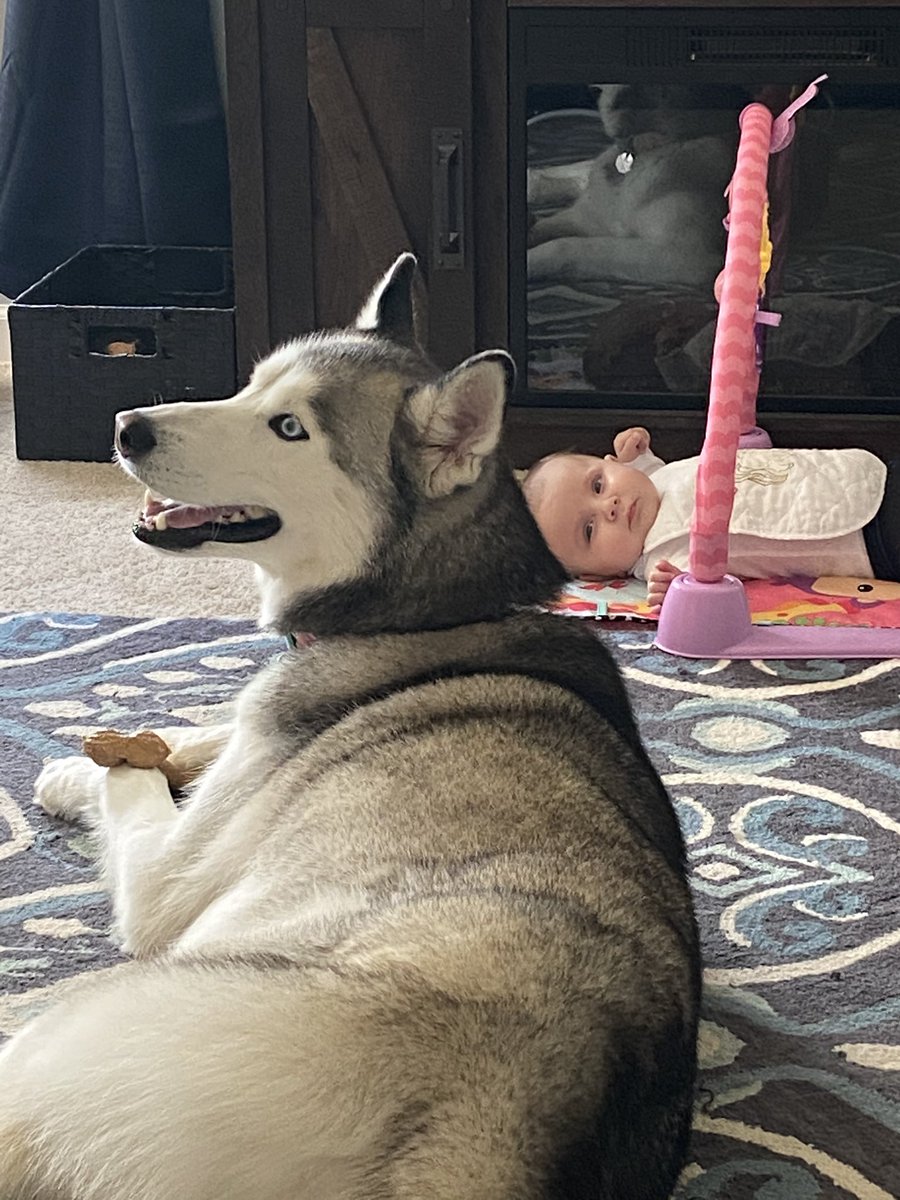 Magdalene is keeping a close eye on Malibu today 🐾 @StDominicHS @dom_vs_corona @HereBeHuskies @SDHSGaudium #SDHSonline