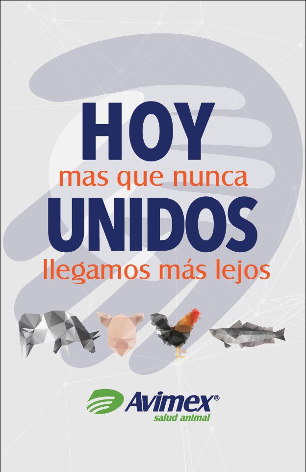 AvimexLab's tweet image. #HoymasquenuncaUnidosllegamosmaslejos