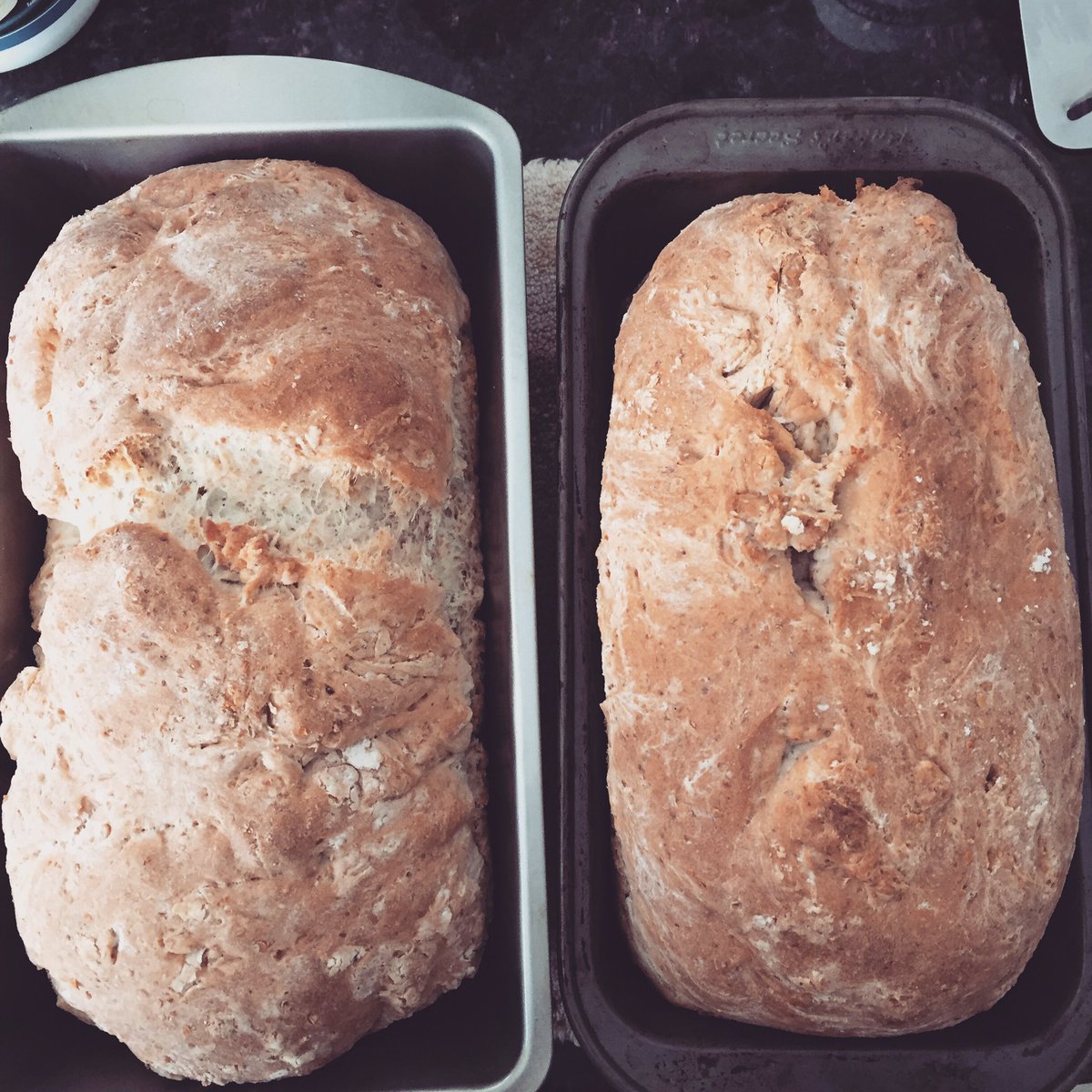 SumOnSleeve's tweet photo. When you let others have the bread at the store because you can make it at home instead... Simple flax
Daughter chose the filter 🙏
#bread #breadmaking #flaxbread #breadbaking #foodies https://t.co/ftKwlUmFiY