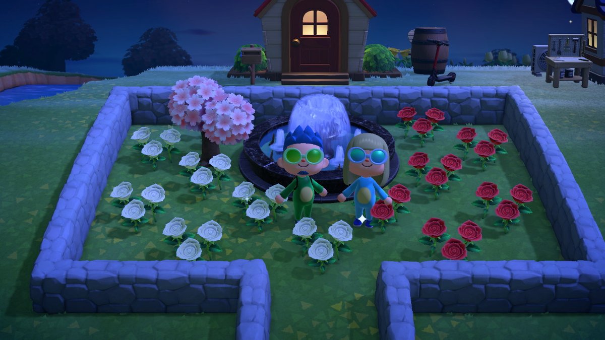 #AnimalCrossing #ACNH #NintendoSwitch