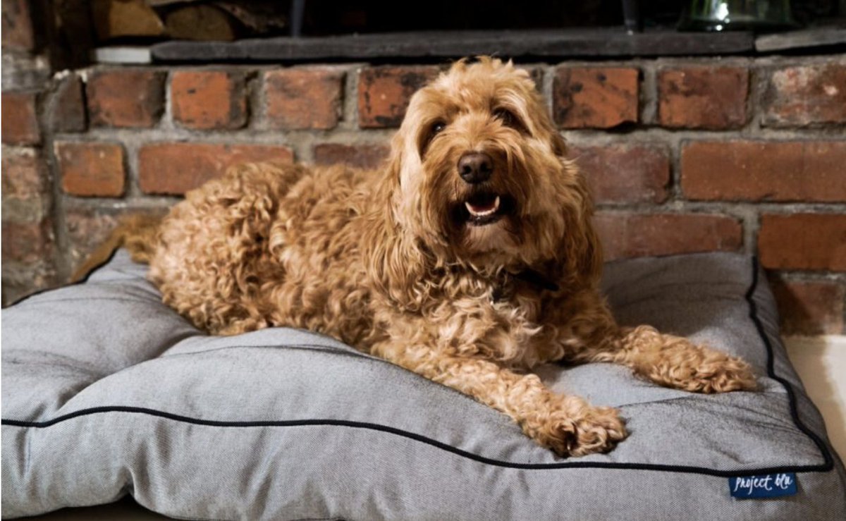 Plastic Bank tweet media