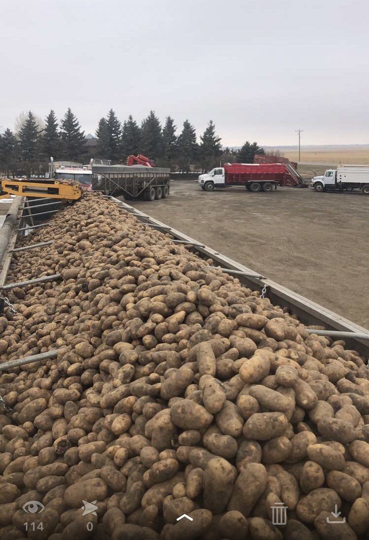 Every day is fryday. Potatoes create a lot of jobs, this whole #covid19 thing prevents people from eating out (eating less fries) this comes right back at us and our processors. Buy some <a href="/mccainfoods/">McCain Foods Canada</a> <a href="/CavendishAgri/">CavendishAgri</a> <a href="/LambWeston/">Lamb Weston</a>  products and keep the economy going. #sayyestofries