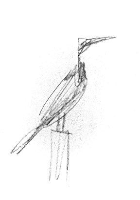 #11Another vague bird! Maybe a heron of sorts? Standing proudly, nonetheless!!