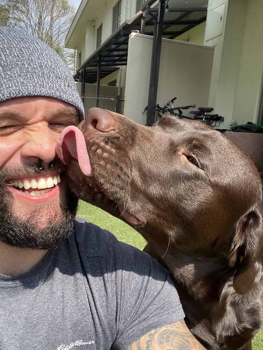 My Dude, Maximus and I may be locked down in quarters here on Naval Base Yokosuka but we sure as hell making the best of this sunshine! Hope everyone is trying to keep spirits up! #LabLife #ChocolateLab #Labrador #PuppyLove