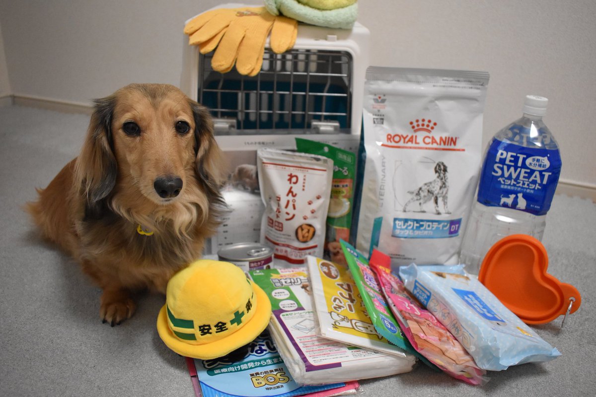 Mai いざという時の備え できていますか こんな時だからこそ 大切な家族 ペット のために ローリングストック法をおすすめ します そしてペット達の防災グッズの準備も一緒にお願いします ペット達を守れるのは飼い主さまだけです ペットの防災