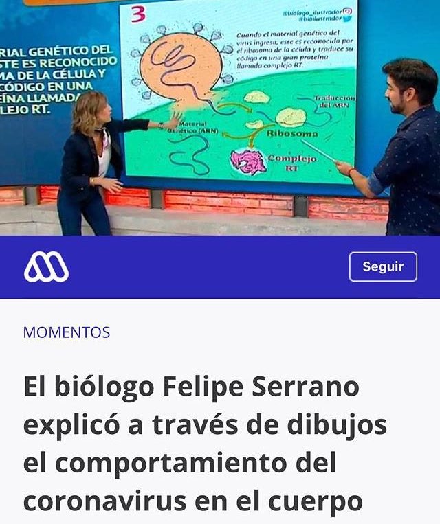 bioilustrador's tweet photo. 🦕Muchas gracias por esta invitación y oportunidad para hablar de #biología del #sars-cov-2 .  Espero hayan mas oportunidades para que la ciencia siga divulgándose a la comunidad y poder con ello dejar de lado la desinformación y ver que la ciencia es para todos✨ https://t.co/zP5jCgHB1t