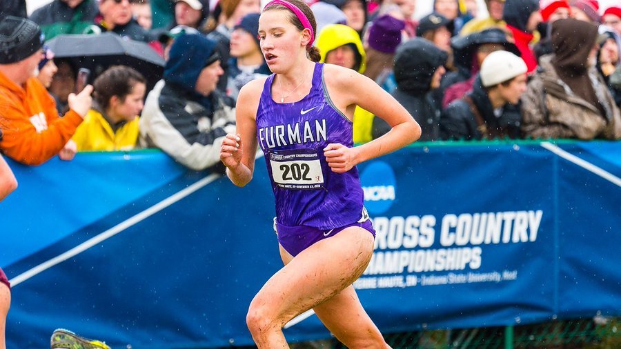 The Stride Report tweet media