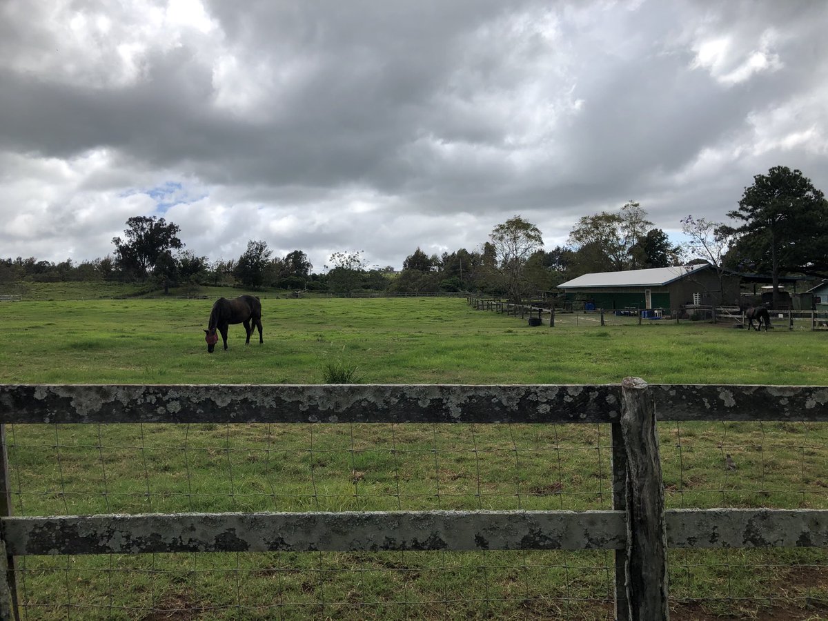 Kaleo Phillips » Conscious Maui