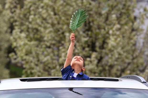 Raymond Arroyo tweet media