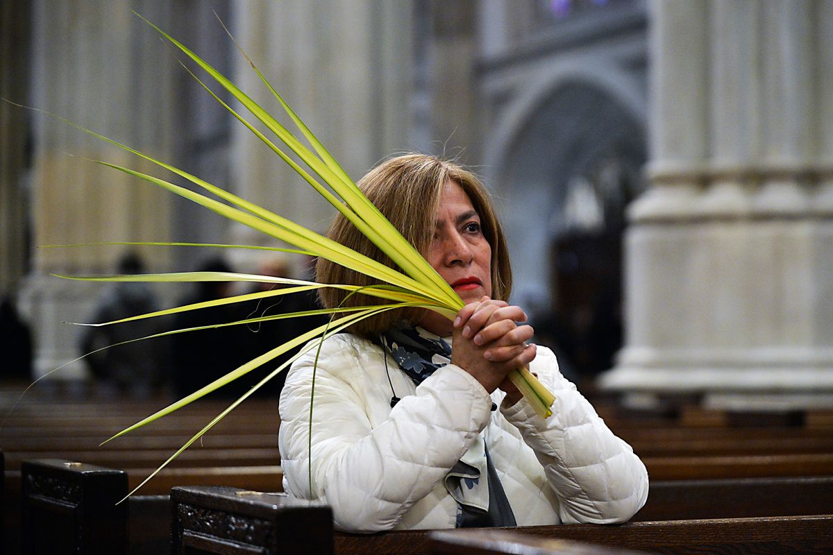 Raymond Arroyo tweet media