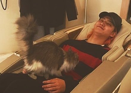 pai1621's tweet photo. แมวที่ชื่อออดือของแจบอมมันคือพันธุ์ Turkish angora ซึ่งมันหน้าตาแบบนี้เลยอะ แต่คุ้นๆว่าน้องตัวสีขาว สรุปเลยไม่รู้ว่าแมวใคร 55555 https://t.co/Tk3kCVKyDt