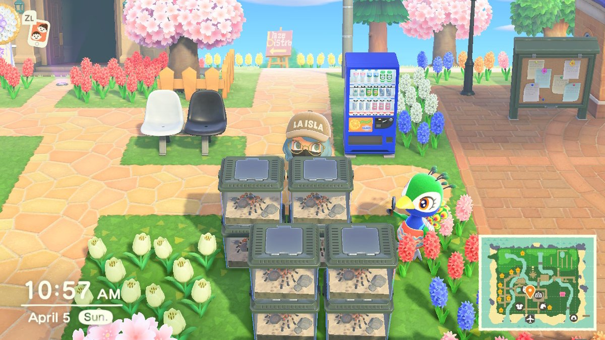 shrntsui's tweet photo. #AnimalCrossing #ACNH #NintendoSwitch https://t.co/h9a6UYfPnU