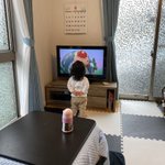 テレビにこれでもかってくらい近寄って必死にテレビ観てる子供!可愛すぎるだろ!