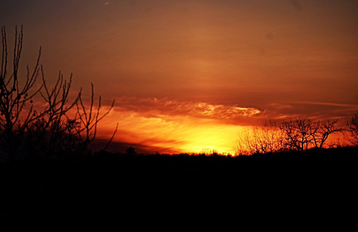 Suzanne's Scenes Photography 📷 tweet media