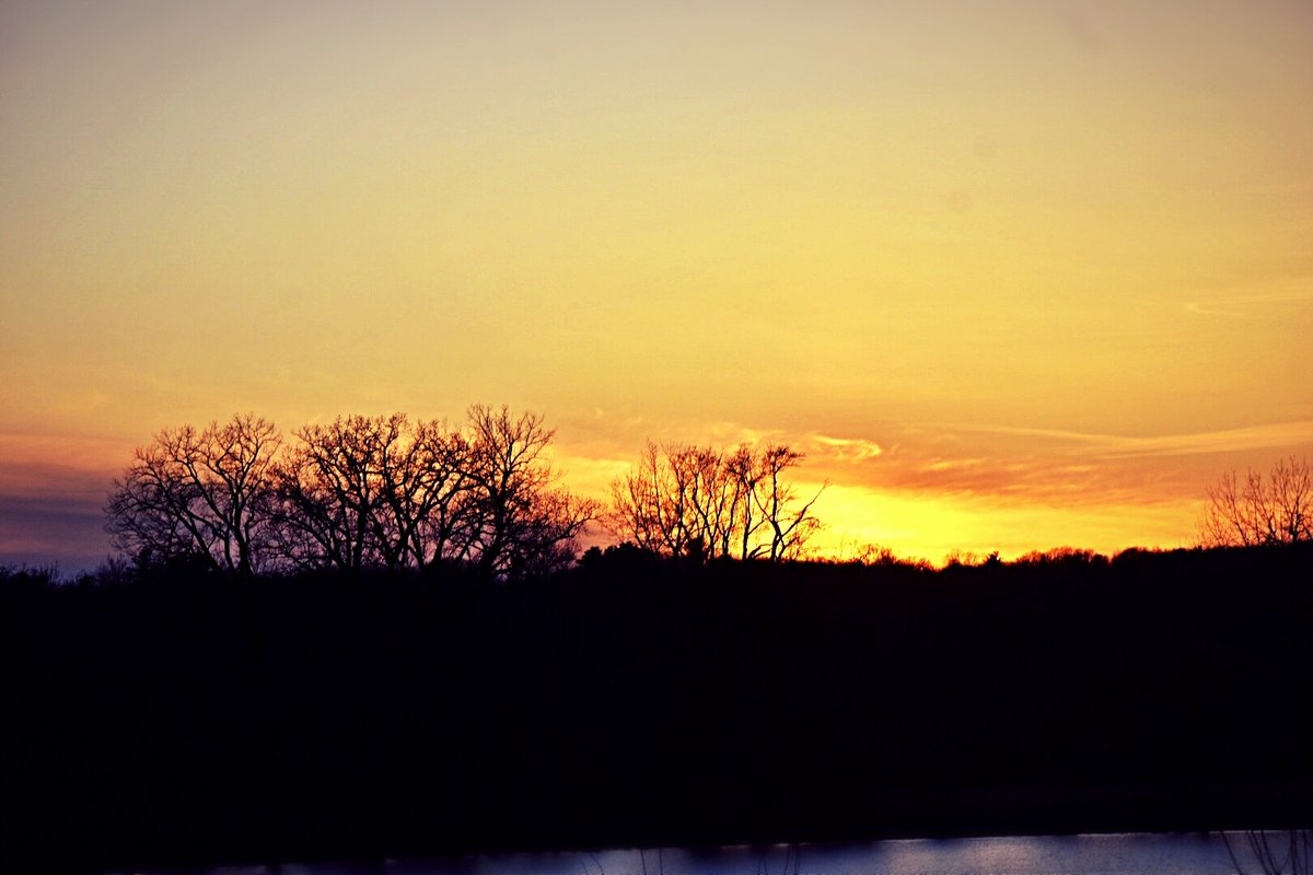 Suzanne's Scenes Photography 📷 tweet media