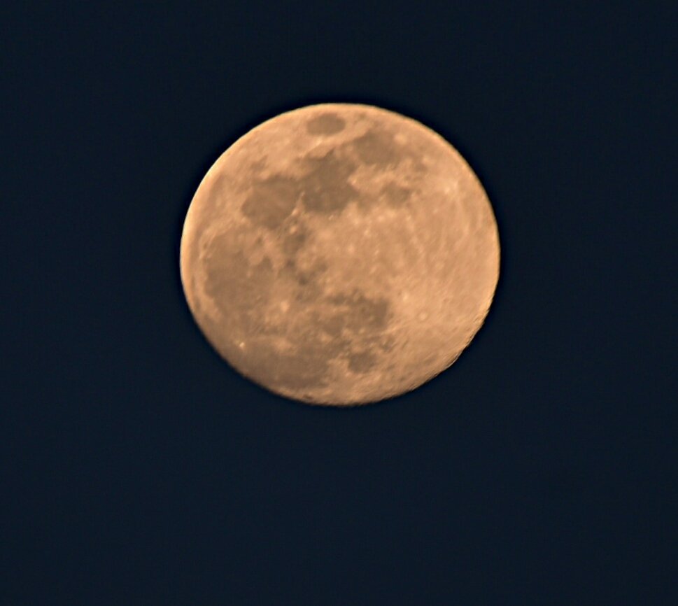 Suzanne's Scenes Photography 📷 tweet media