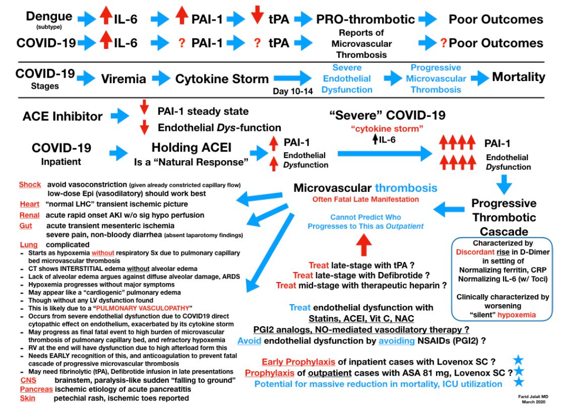 Dr.  @farid__jalali wrote about this theory over a week ago on Facebook, surmising that Covid mimics Dengue in important ways, causing a cytokine storm, IL-6 raises PAI-1, suppresses tPA and leads to microthrombi in the lungs and everywhere. Original post:  https://www.facebook.com/permalink.php?story_fbid=10108628781908939&id=25828688