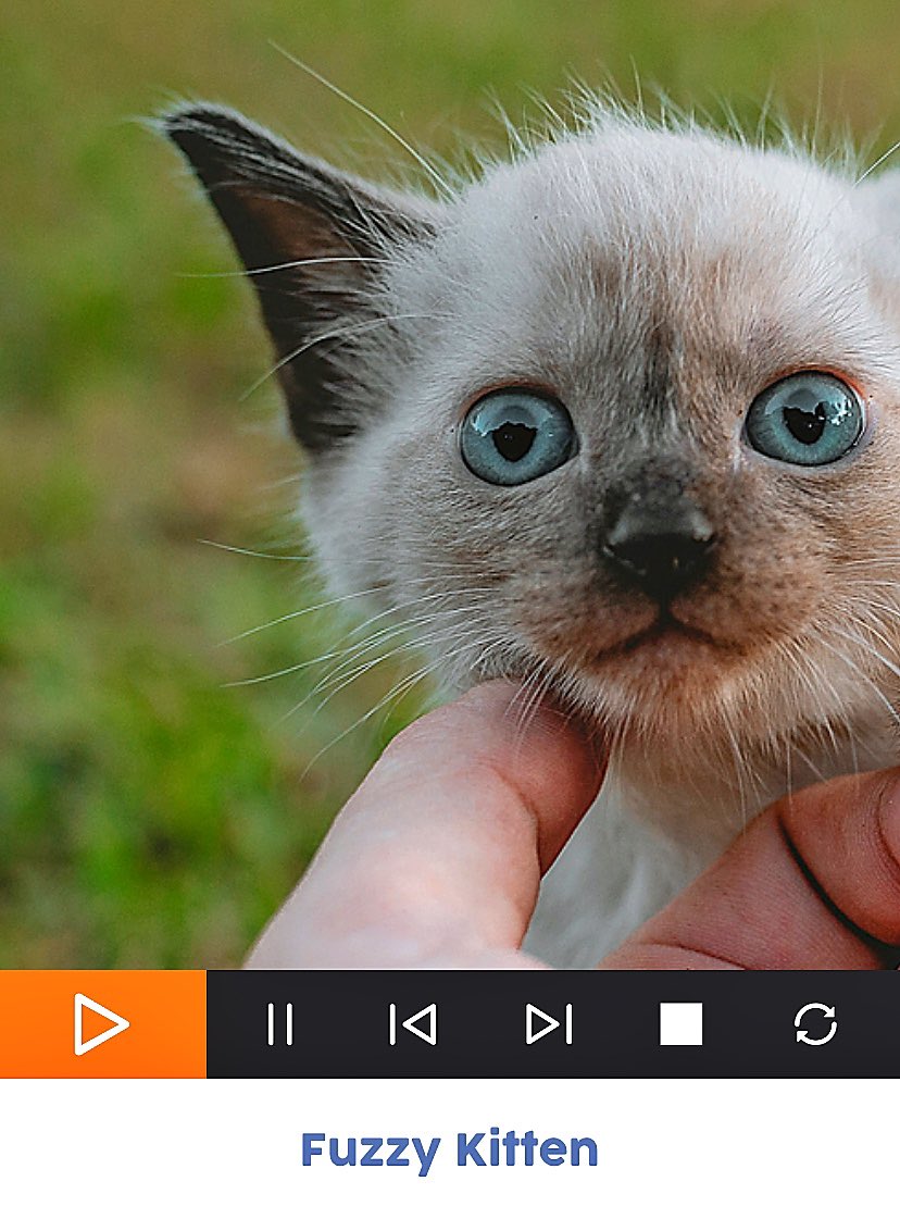 We are giving #Free access to many of our #meditations during the #coronavirus emergency. If you have #kids, there’s something for everyone. Be safe - we’re here for you! 🧘🏿‍♂️#KidsMeditation #lockdowneffect #Mindfulness #Covid19 #Covid wwwdreamykid.com RT♥️🙏🏻