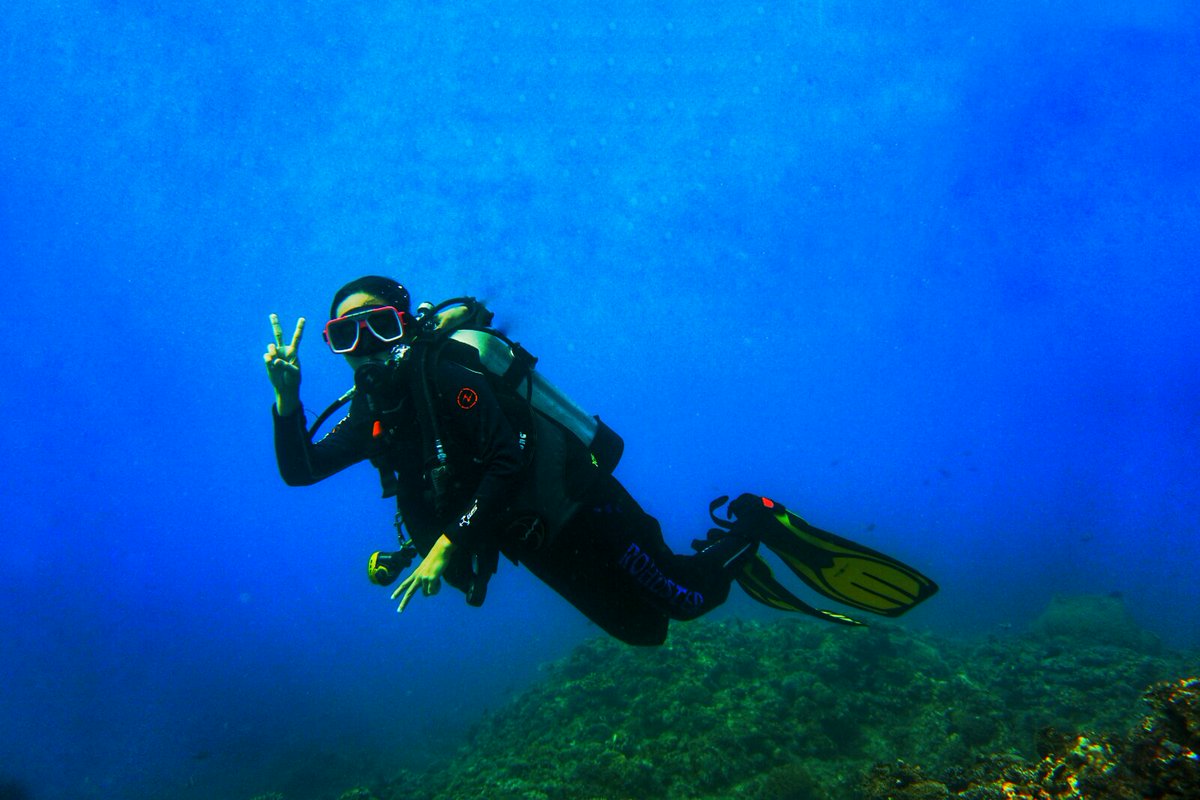 JaniceIngenteM's tweet photo. Namimiss ko nang mag-under the sea at mag above sea level 😅

#PSIMorongStarBeachResort
#MtLoay 🙏🥺 https://t.co/Luk7Nw5gfZ