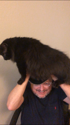 basiloates's tweet image. #DKRally  rallycat!!