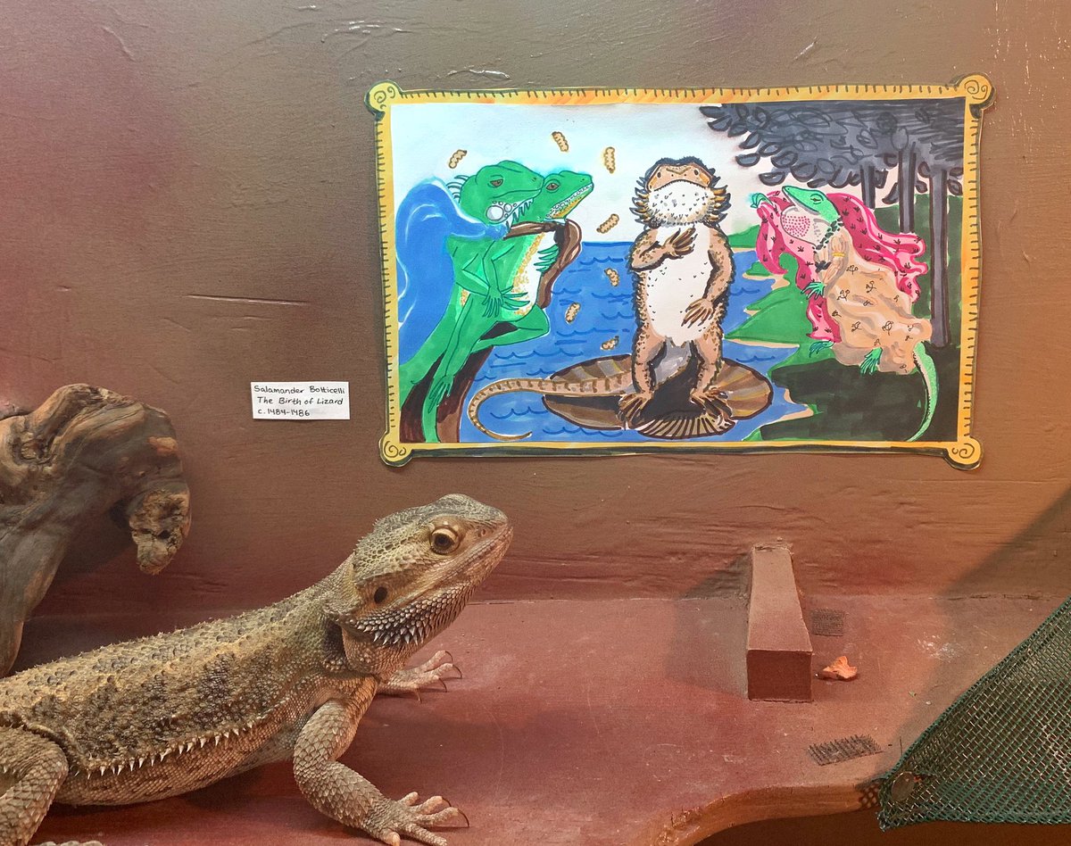 ramencult's tweet photo. Installed a rotating art exhibit in Aeg’s tank https://t.co/xMHX7z7etO