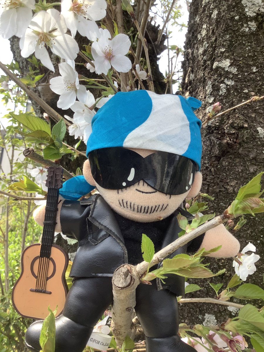 hiroatsuyo's tweet photo. おはようございます。

それぞれの立場でそれぞれの困難な環境にありますが
穏やかな日常を取り戻す為に頑張りましょうね！

大丈夫！私達には出来るはず！

 #chagekimi 
 #heychappy

#コロナに負けない

@chageshu https://t.co/kE22bg5smW