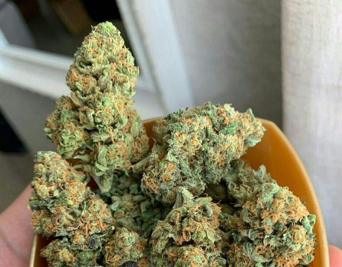 +1(209) 225-9559
Dm for more supplies worldwide delivery worldwide