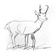  #15 THIS DEER IS TOO HAPPY WHAT THE HELL. Mouth too long