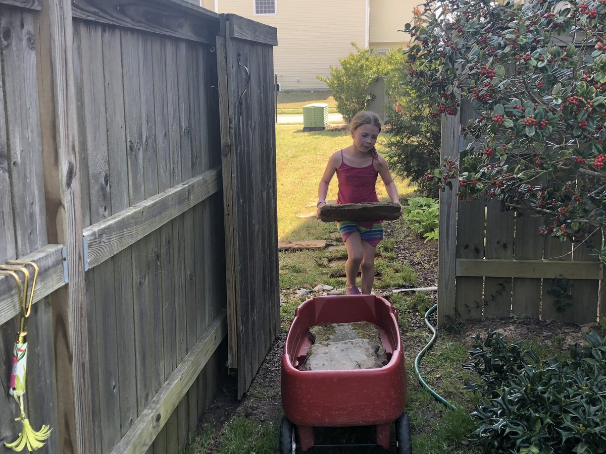 princessTamm's tweet photo. Did some work in the garden today. Hoping this cabbage comes to a head soon! @LHECMES @LHESPrincipal @msjacksonenviro @Ms_Wilder_LHES @ChristianneSto8 #bonniecabbageprogram https://t.co/KPSgZTq6yP