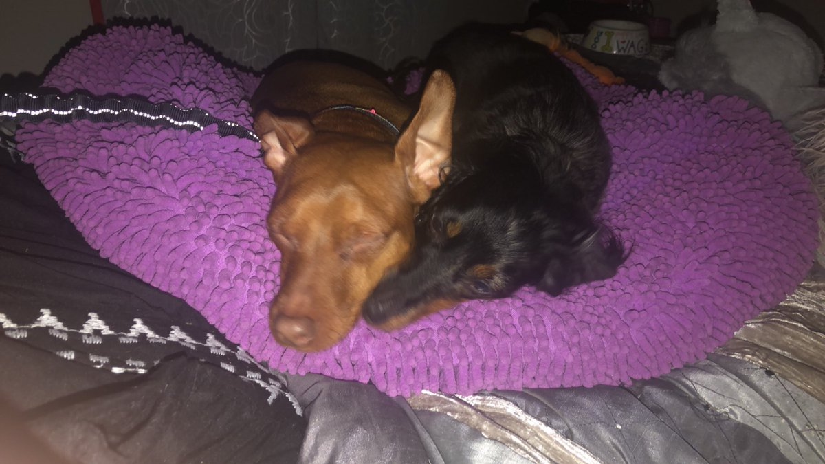 Mom’s babies