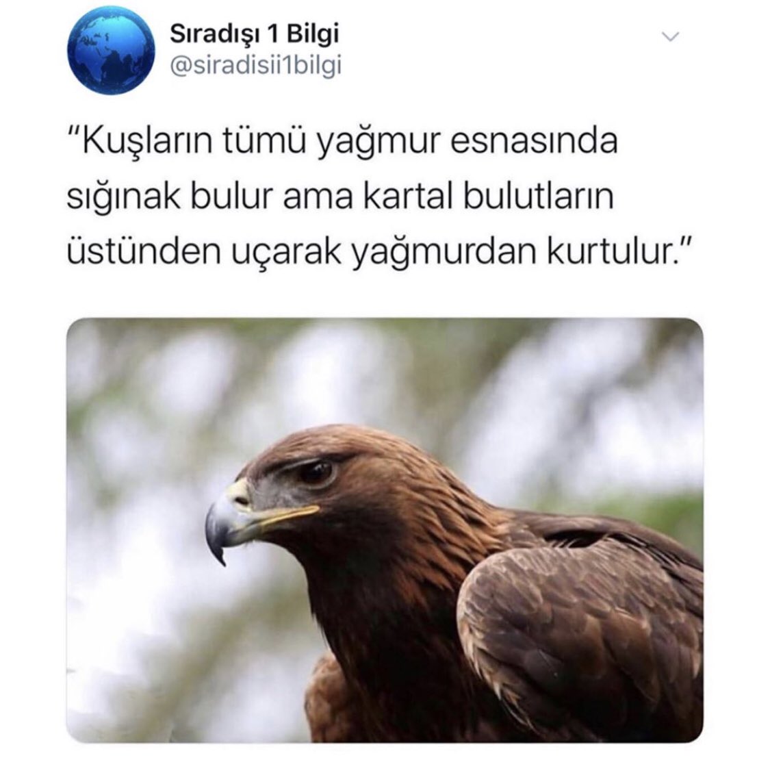 hakikisusoy's tweet photo. @deplasmn Bu da gece gece kıyağım olsun sana. https://t.co/mL7hu7r2zC