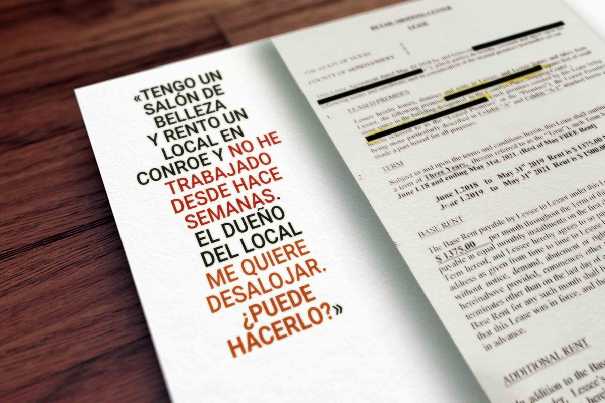 RESPONDE tweet media