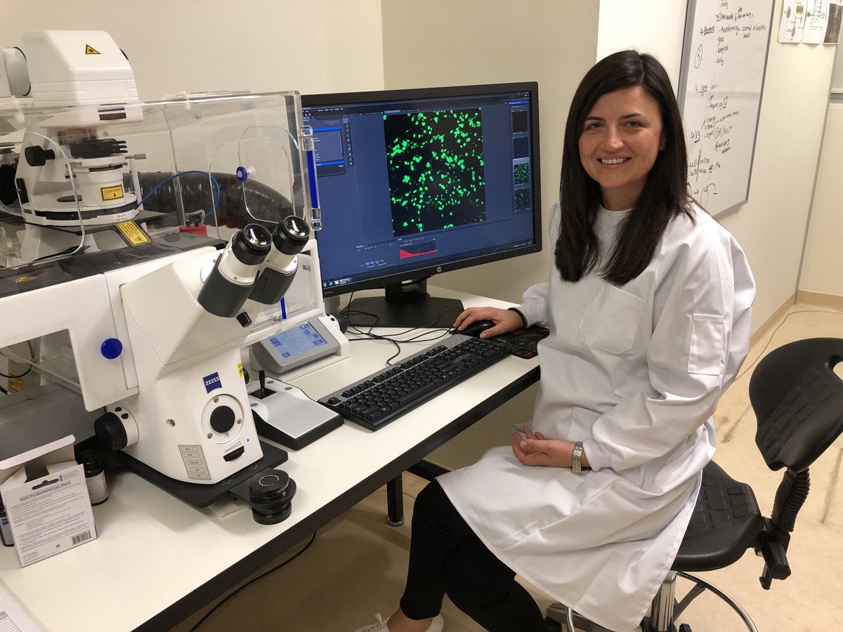 hosp_research's tweet photo. COVID-19 update! Today on #WorldHealthDay , we are proud to announce our support for an esteemed SOUTH AUSTRALIAN collaborative of virologists, immunologists and clinicians who are joining forces in the fight against #COVID19! https://t.co/ocpAIyjyn6