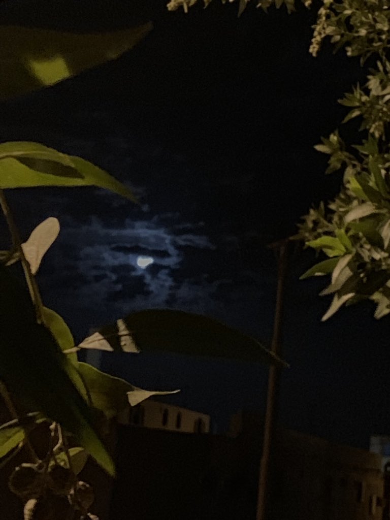 مامرّك سحاب الوَصل في ليلةٍ قمرا؟