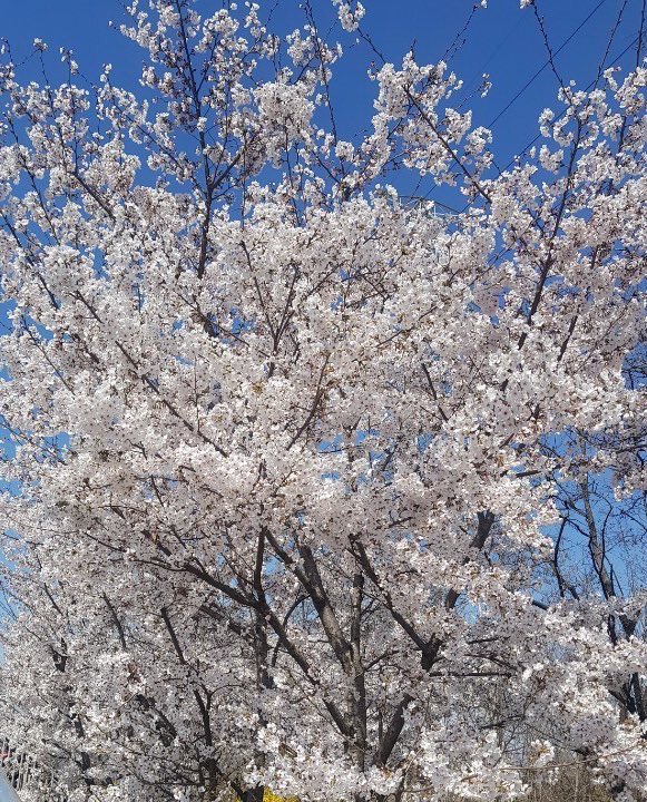 sweet_dododo's tweet photo. 낮에는 네 손을 잡고
밤에는 네 손을 ��고

#섹트 #디엠 https://t.co/tovEcRMuxR