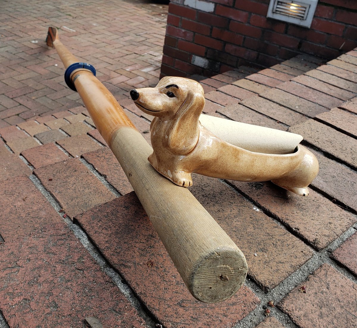 What do we have here? Another long torso, I miss coaching you too! 🚣‍♀️😼
#GoCougs
<a href="/regattadogs/">Regatta Dogs</a>